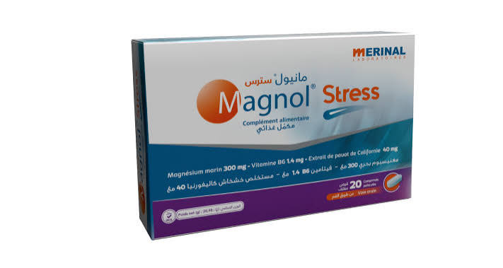 MERINAL MAGNOL STRESS MAGNESIUM 300 MG+VIT B6 20 COMP
