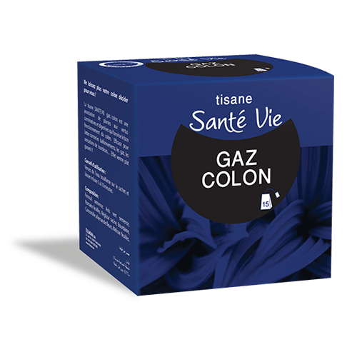 TISANE SANTE VIE GAZ COLON C/40